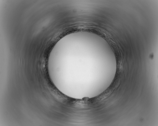 X0000089880567200707262212