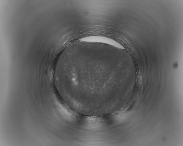 X0000089880568200707262212