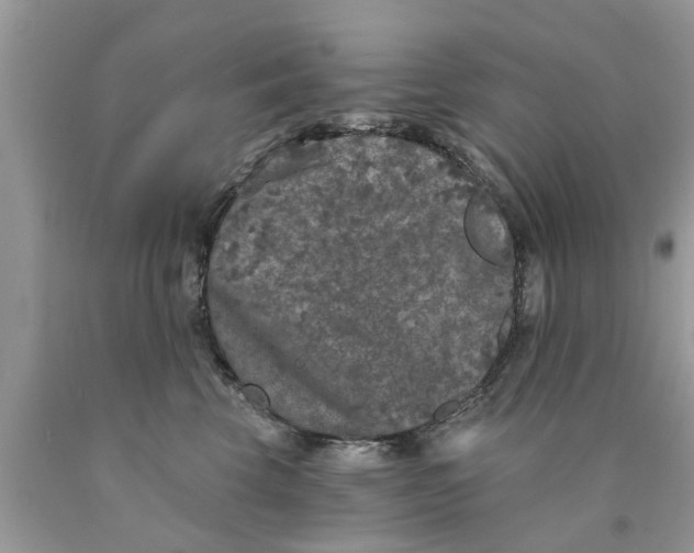 X0000089880569200707262212