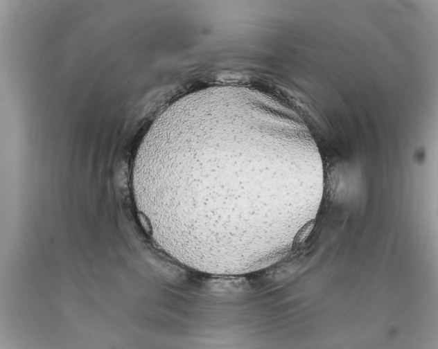 X0000089880571200707262212