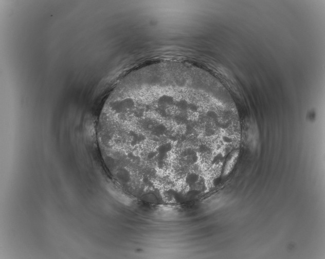 X0000089880573200707262212