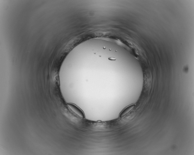 X0000089880574200707262212