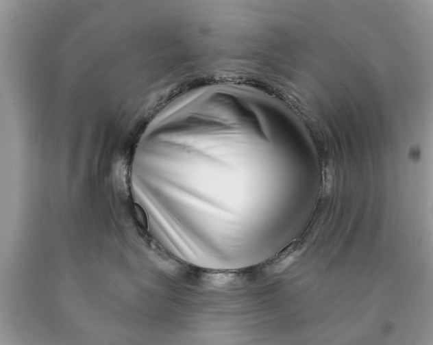 X0000089880575200707262212