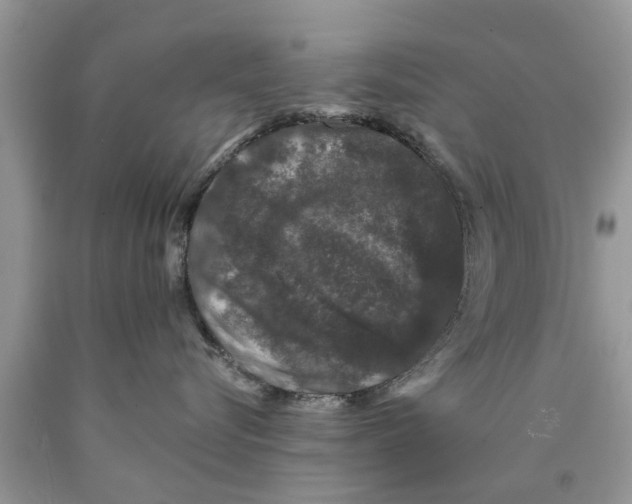 X0000089880576200707262212