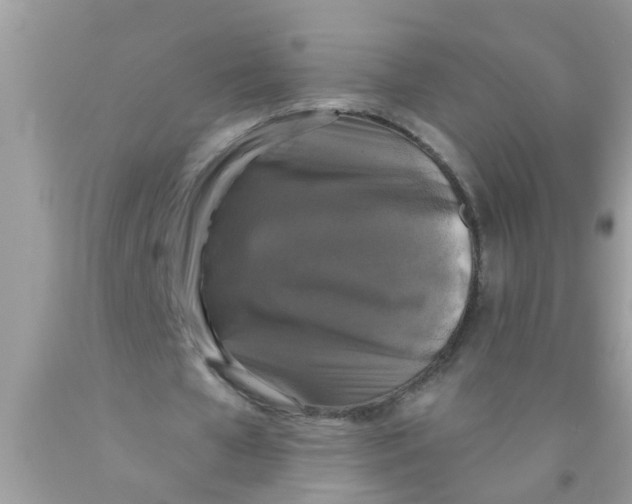 X0000089880577200707262211