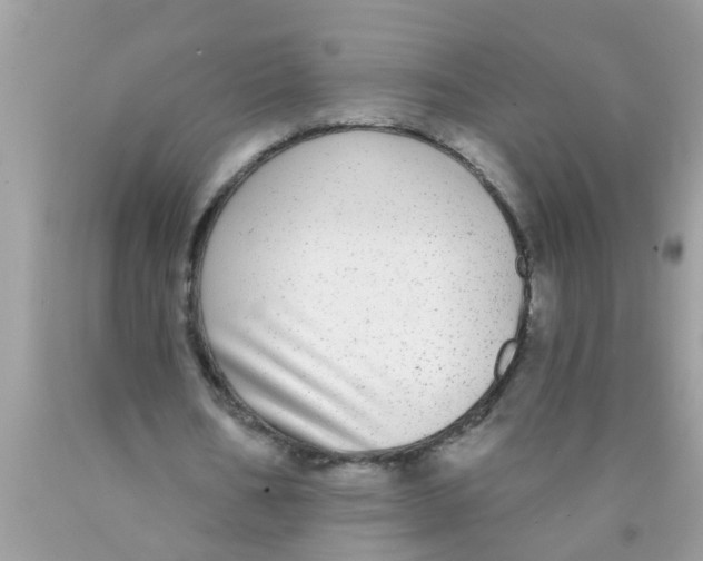 X0000089880578200707262211