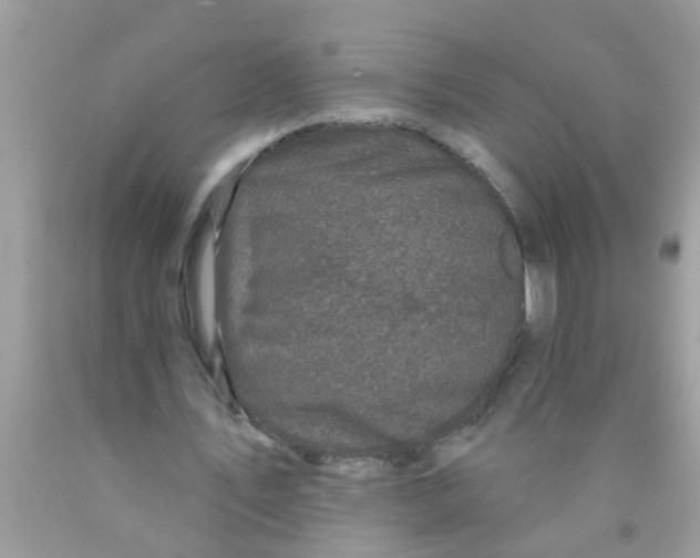 X0000089880579200707262211