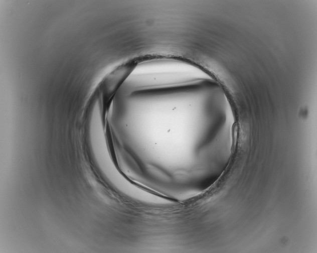 X0000089880580200707262211