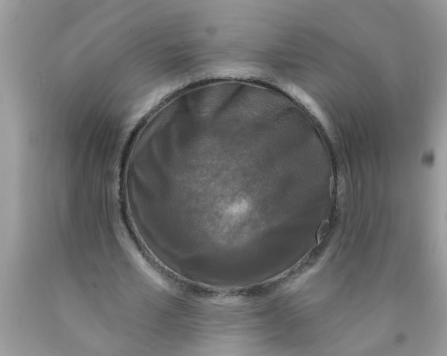 X0000089880581200707262211