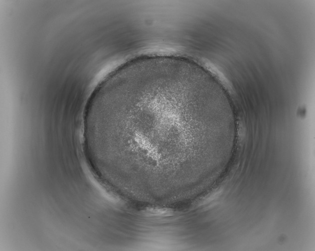 X0000089880582200707262211