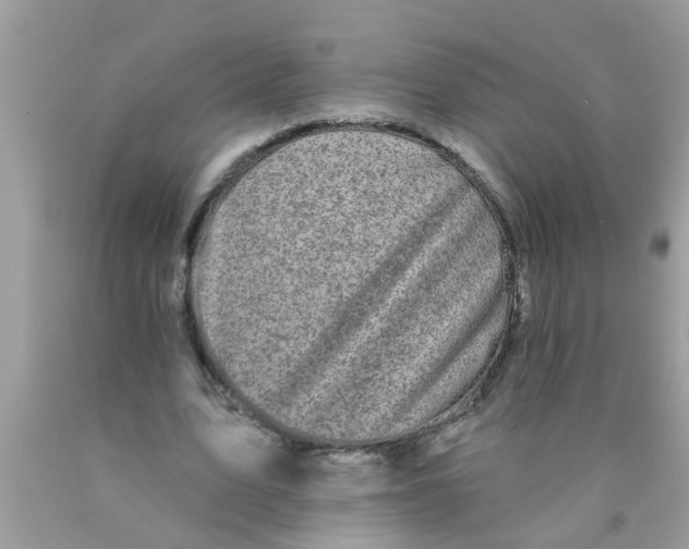 X0000089880583200707262211