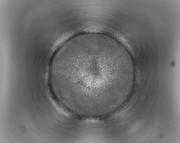 X0000089880586200707262211