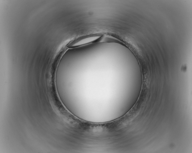 X0000089880587200707262211