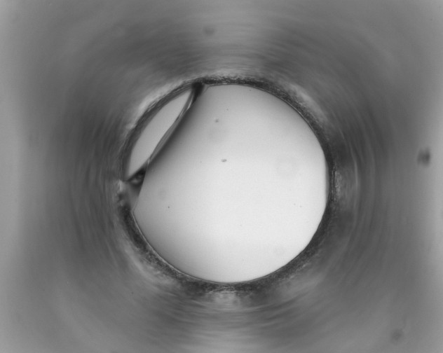 X0000089880588200707262211