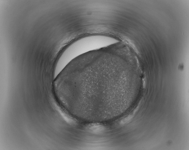 X0000089880589200707262211