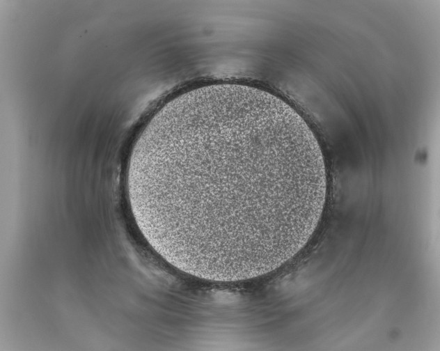 X0000089880592200707262211