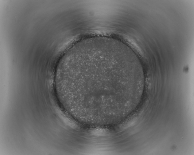 X0000089880593200707262211