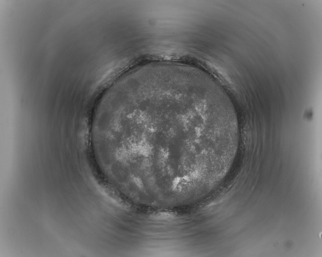 X0000089880594200707262211