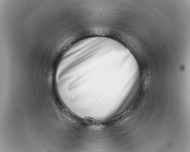 X0000089880595200707262211