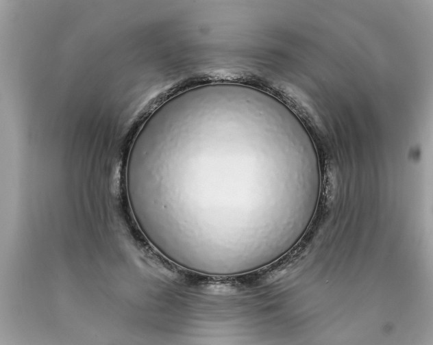 X0000089880596200707262211