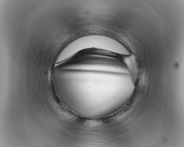 X0000089880597200707262211