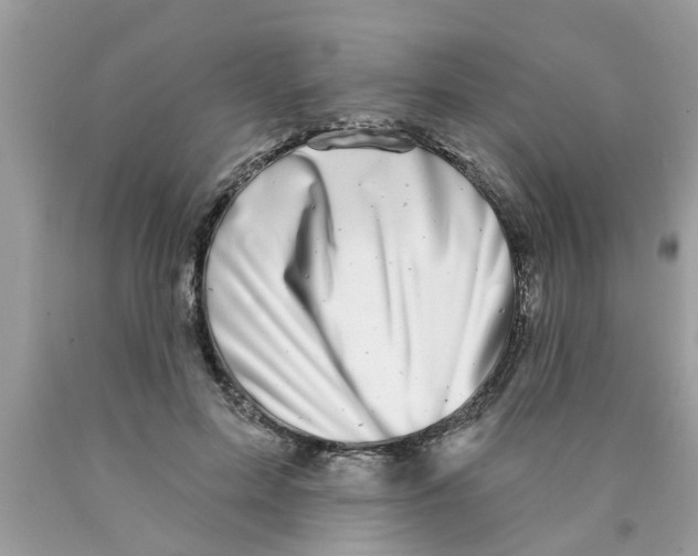 X0000089880599200707262211