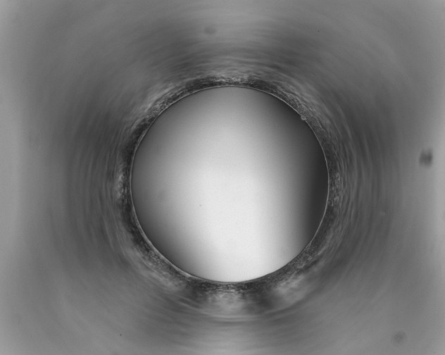 X0000089880600200707262211