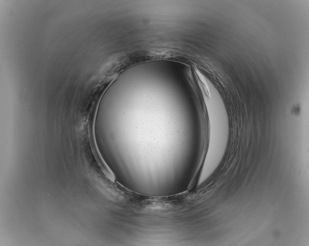 X0000089880601200707262211