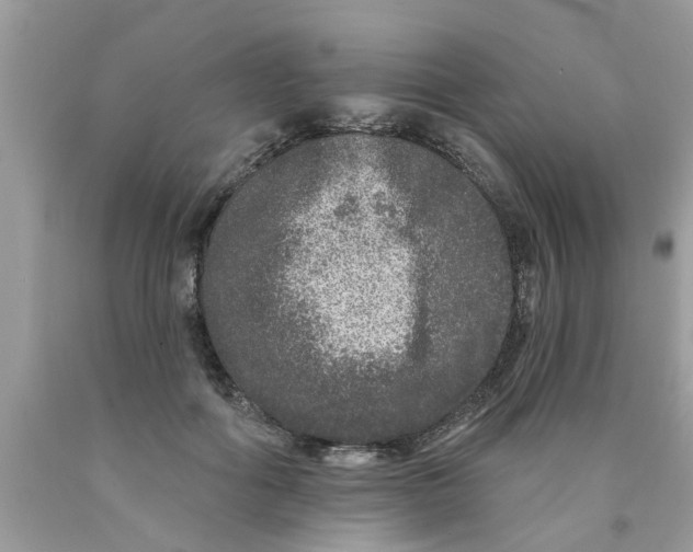 X0000089880602200707262211