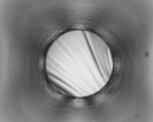 X0000089880603200707262211