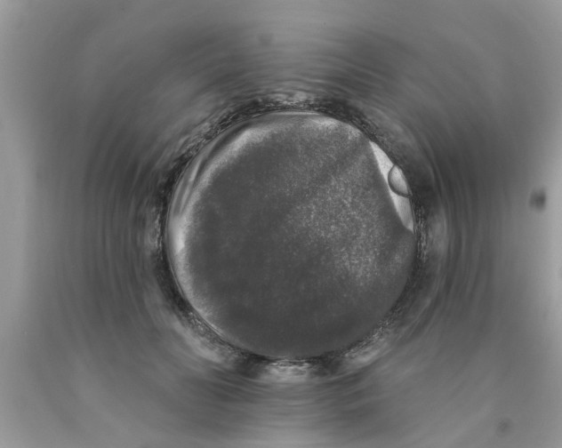 X0000089880606200707262211