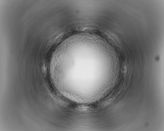 X0000089880607200707262211