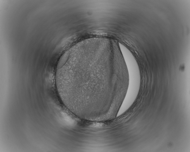 X0000089880609200707262211