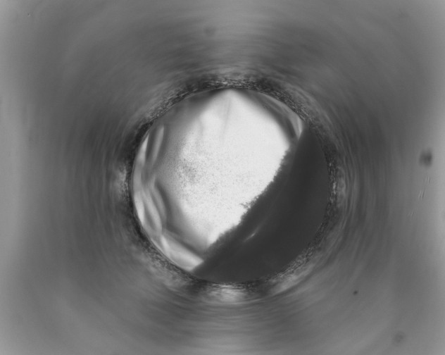 X0000089880610200707262211