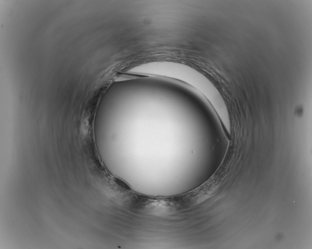 X0000089880611200707262211