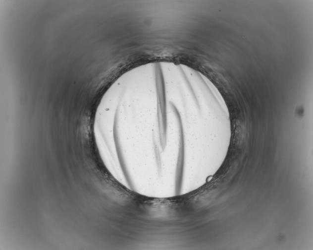 X0000089880612200707262211