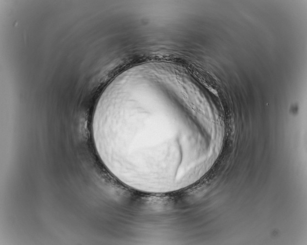 X0000089880615200707262211