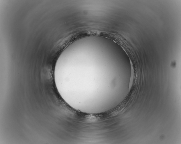 X0000089880616200707262211