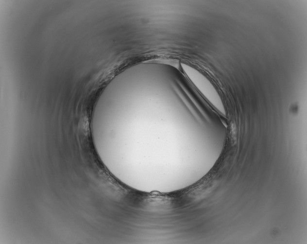 X0000089880617200707262211