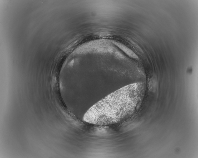 X0000089880618200707262211