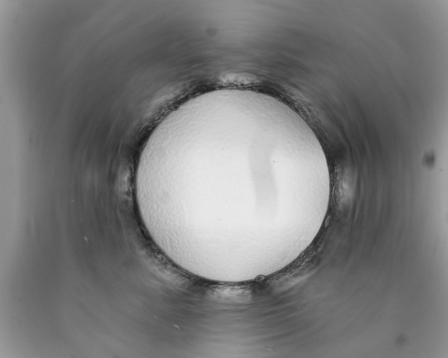 X0000089880619200707262211