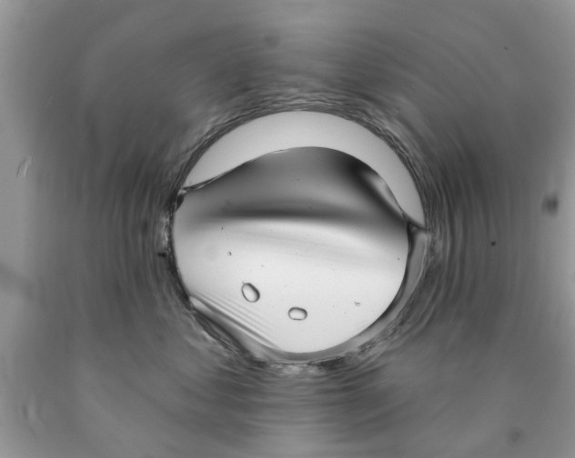 X0000089880621200707262210