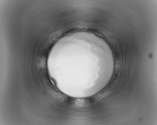 X0000089880623200707262210