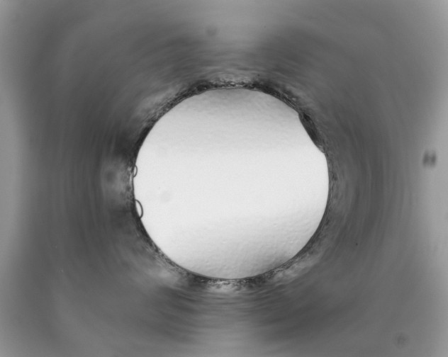 X0000089880624200707262210