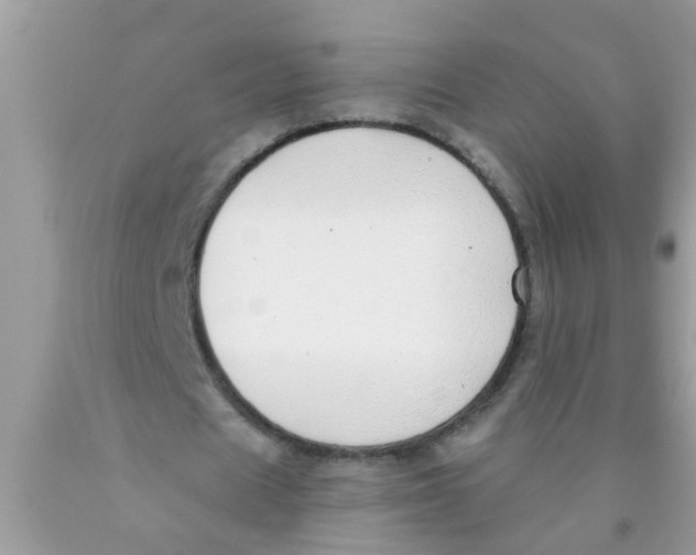 X0000089880625200707262210