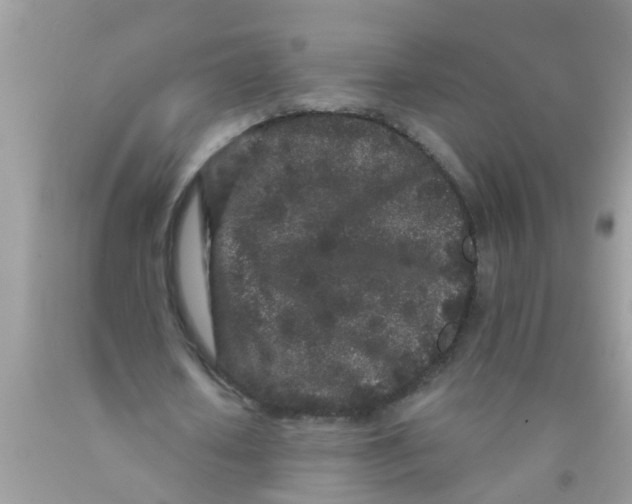 X0000089880626200707262210