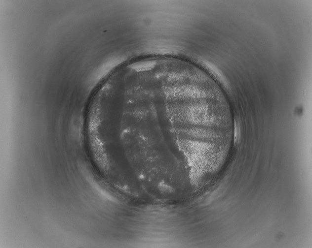 X0000089880627200707262210