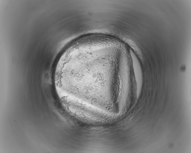 X0000089880628200707262210