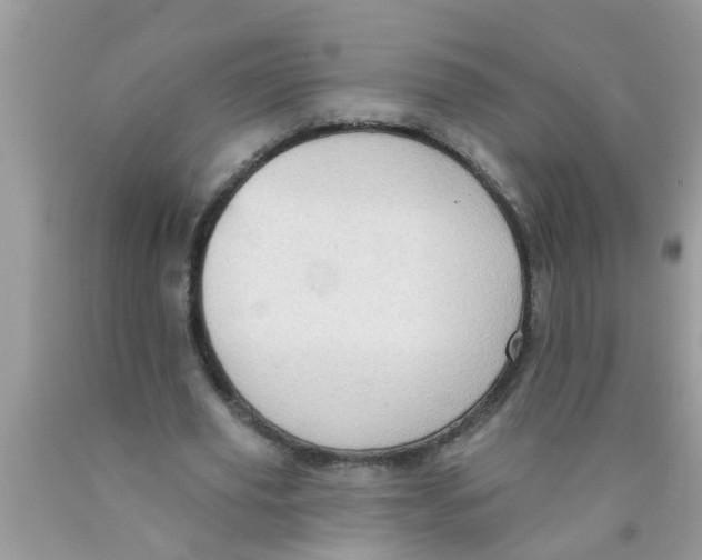 X0000089880629200707262210