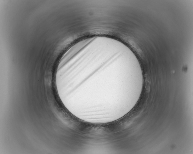 X0000089880631200707262210